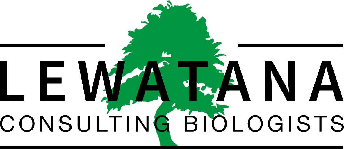 Logo zeigt mittig einen grünen Baum und schwarze Buchstaben.